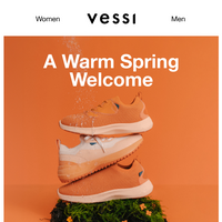 Vessi email thumbnail