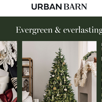 Urban Barn email thumbnail