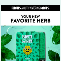 Flintts email thumbnail