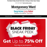 Montgomery Ward email thumbnail