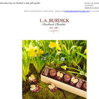 L.A. Burdick Chocolate email thumbnail