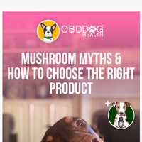 CBD Dog Health email thumbnail