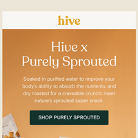 Hive Brands email thumbnail