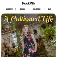 Black Milk Clothing email thumbnail