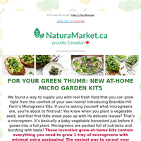 Natura Market email thumbnail