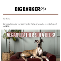 Big Barker email thumbnail