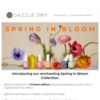 Dazzle Dry email thumbnail