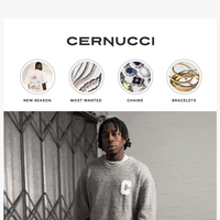 Cernucci email thumbnail