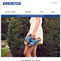 Birkenstock email thumbnail