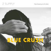 Z SUPPLY email thumbnail