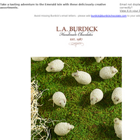 L.A. Burdick Chocolate email thumbnail