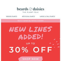 Beards & Daisies email thumbnail