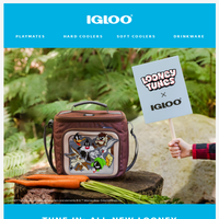 Igloo Coolers email thumbnail