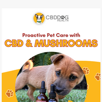 CBD Dog Health email thumbnail