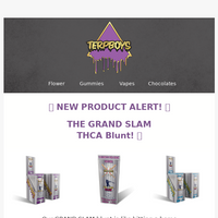 TerpBoys LLC email thumbnail