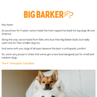 Big Barker email thumbnail