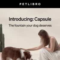 Petlibro email thumbnail