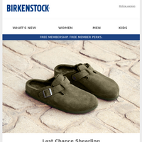 Birkenstock email thumbnail