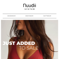 Nuudii System email thumbnail