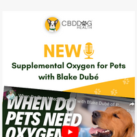 CBD Dog Health email thumbnail