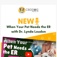 CBD Dog Health email thumbnail