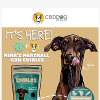 CBD Dog Health email thumbnail