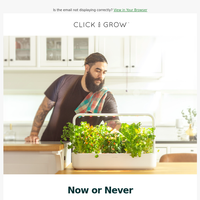 Click & Grow email thumbnail