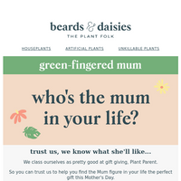 Beards & Daisies email thumbnail