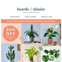 Beards & Daisies email thumbnail