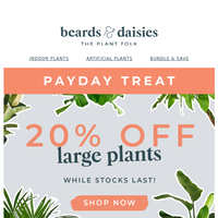 Beards & Daisies email thumbnail