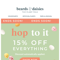 Beards & Daisies email thumbnail