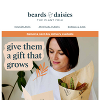 Beards & Daisies email thumbnail