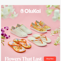 OluKai email thumbnail