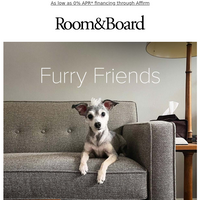 Room & Board email thumbnail