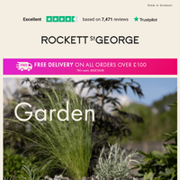 Rockett St George email thumbnail