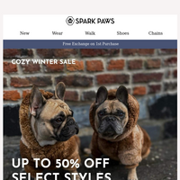 Spark Paws email thumbnail