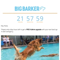 Big Barker email thumbnail