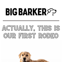 Big Barker email thumbnail