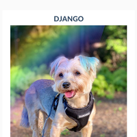 DJANGO email thumbnail