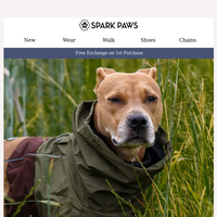 Spark Paws email thumbnail