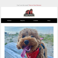 Redbarn Pet Products email thumbnail