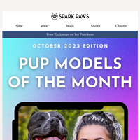 Spark Paws email thumbnail