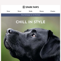 Spark Paws email thumbnail