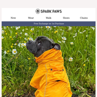 Spark Paws email thumbnail