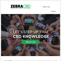 ZebraCBD email thumbnail