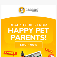 CBD Dog Health email thumbnail