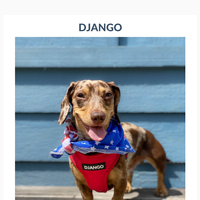 DJANGO email thumbnail