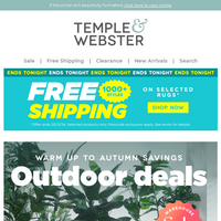 Temple & Webster email thumbnail