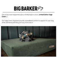 Big Barker email thumbnail