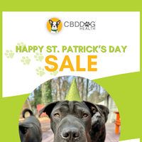 CBD Dog Health email thumbnail